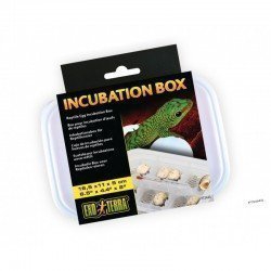 Caja Incubadora De Huevos...