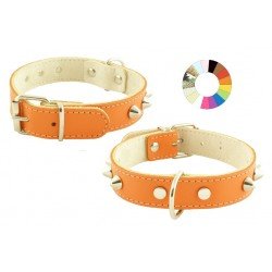 Collar Mountain Co1F Pt...