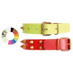 Collar Leather Class Co1F...