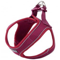 Arnés Soft Granate Xxs 10-15Cm