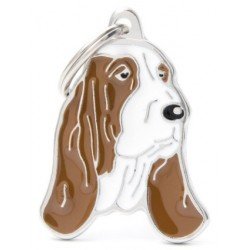 Mf02N Basset Hound